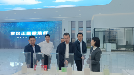 省科技廳巡視員王建偉赴宣漢縣調(diào)研科技創(chuàng)新工作，重點(diǎn)關(guān)注有機(jī)稻谷種植研發(fā)