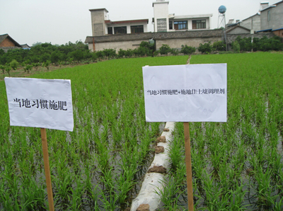 施地佳 突破傳統(tǒng)，以創(chuàng)新科技引領(lǐng)有機(jī)稻谷種植與土壤改良新篇章